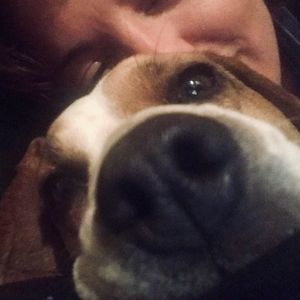 Meet your Posher, Dixie